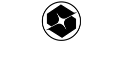 Stergoed 